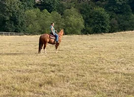 Customer photo from Kristi E.
