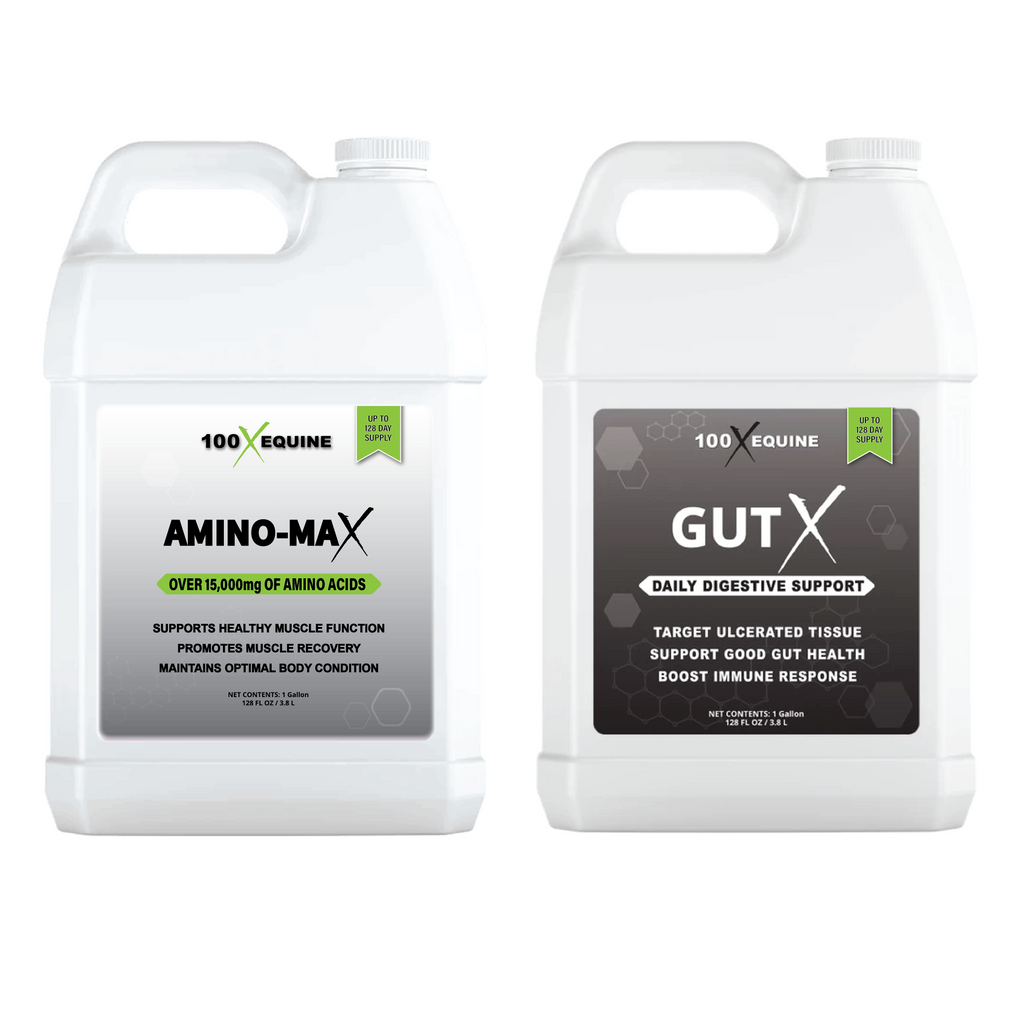 Regen-X and GutX Combo