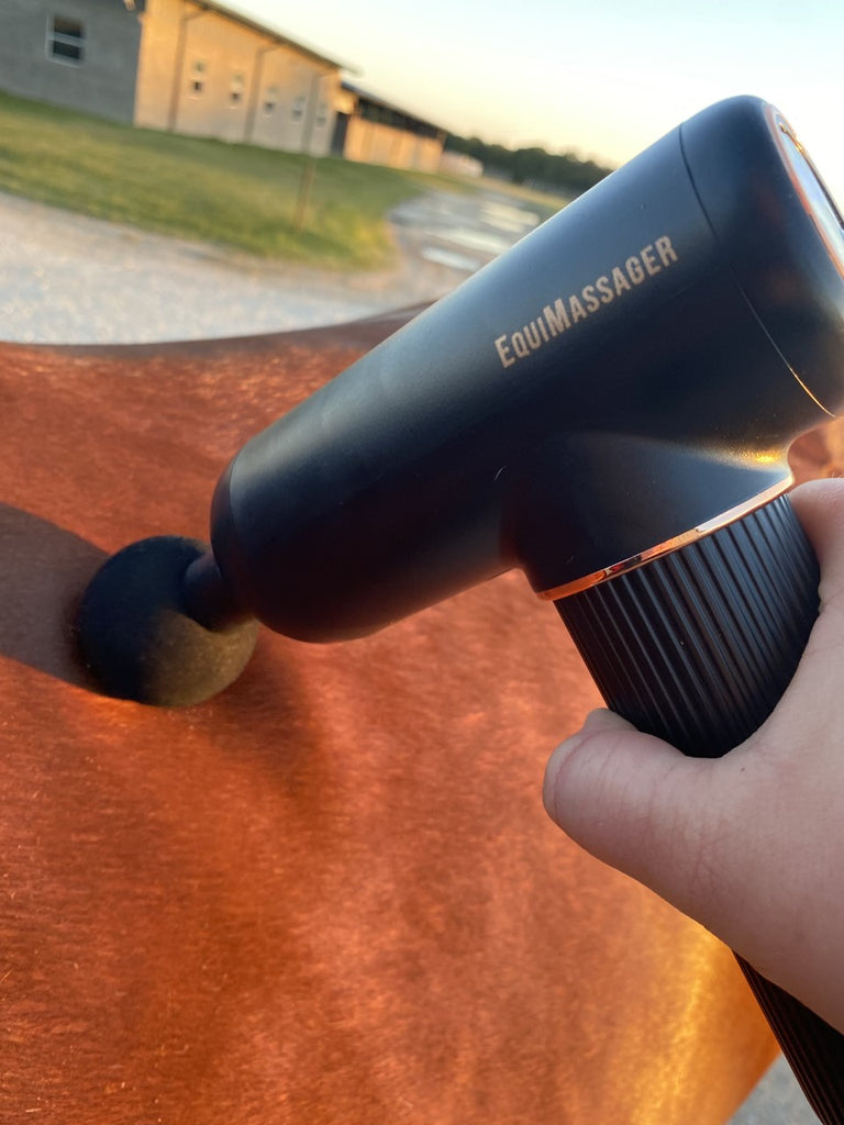 EquiMassager » up to 63% Off
