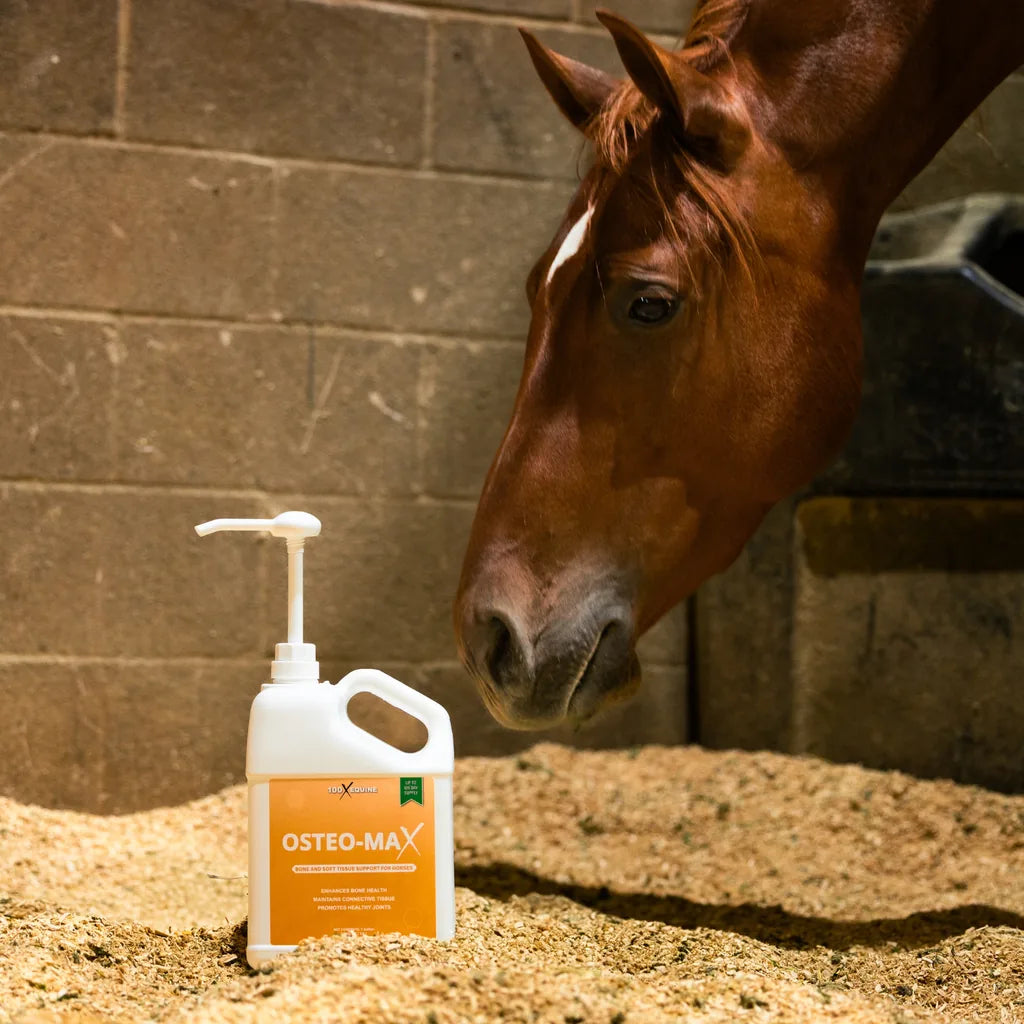 Osteo-MAX one-gallon jug beside a chestnut horse in a stall