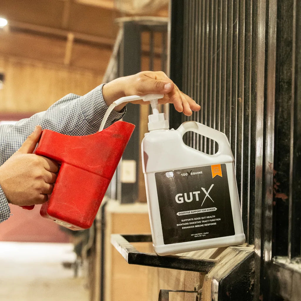 Gut X dosing