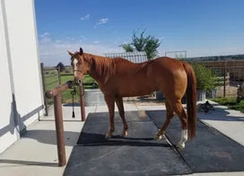 Customer photo from Katy H.