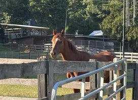 Customer photo from Whitney M.