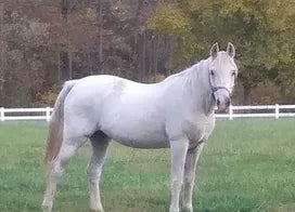 Customer photo from Nancy K.