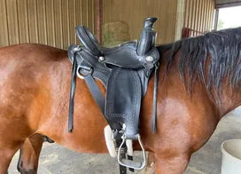 Customer photo from Carol E.