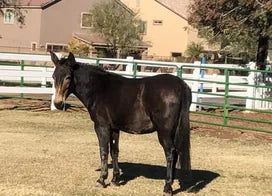 Customer photo from Debbie A.