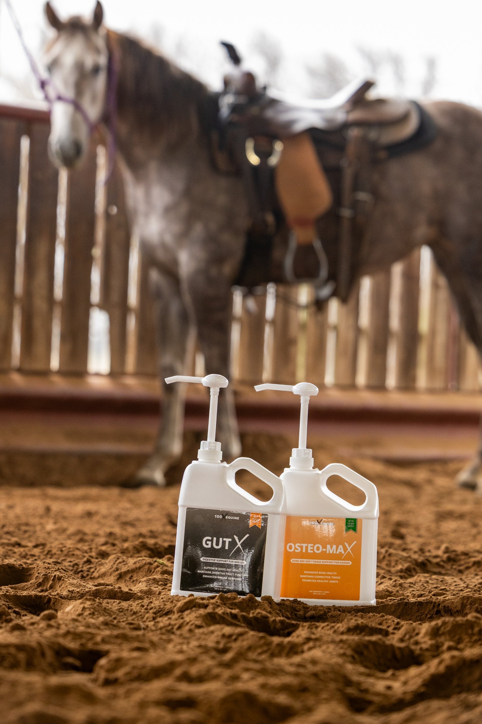 Gut X and Osteo-MAX jugs in an arena with a saddled horse behind