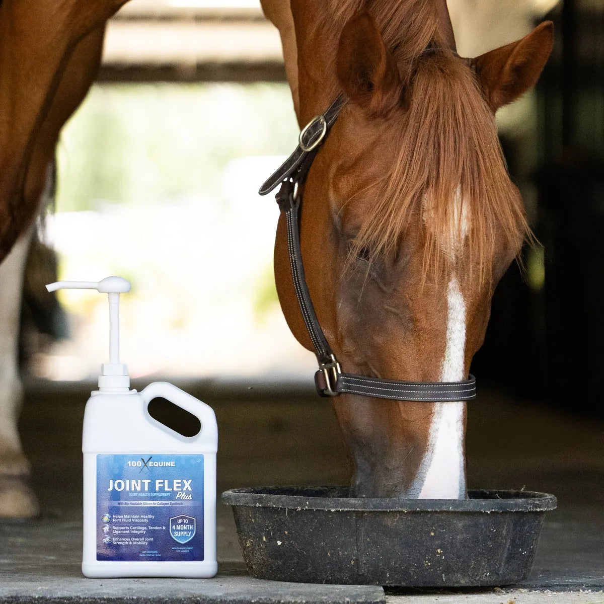 Horse eating a ration top-dressed with Joint Flex Plus